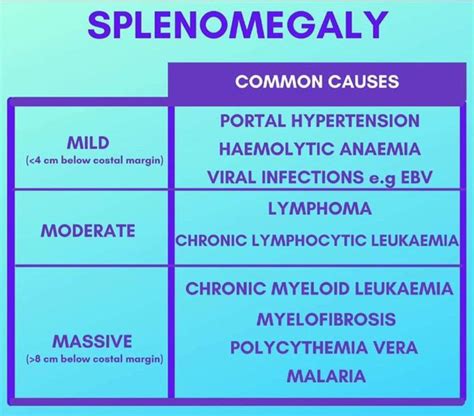 Causes of Splenomegaly - MEDizzy