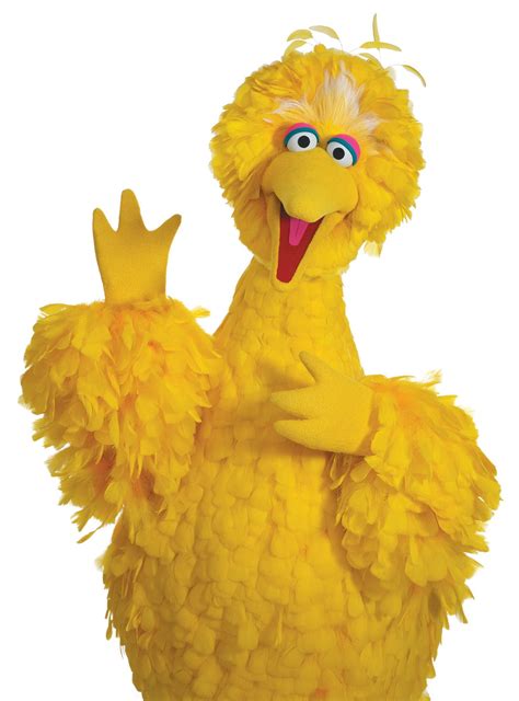 Image - Big Bird half.jpg - Muppet Wiki