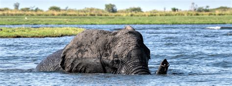 Morocco Archives - Wildlife Photography Africa