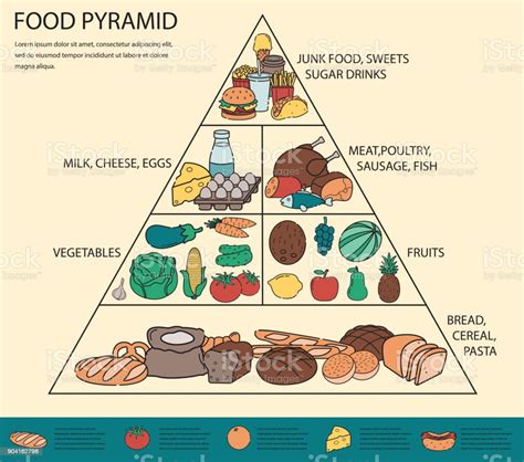 Voedselpiramide Gezond Eten Infographic Gezonde Levensstijl Iconen Van ...