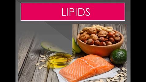 what are lipids? - YouTube