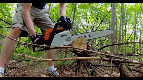 Stihl MS 171 Review - YouTube