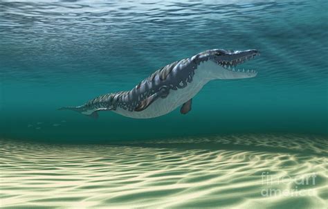 Dorudon Prehistoric Whale Ancestor Photograph by Mikkel Juul Jensen ...