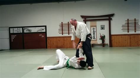 Aikido Techniques