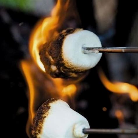 7 best images about Campfire Marshmallows on Pinterest | Fire pits, Sparklers and Indoor outdoor