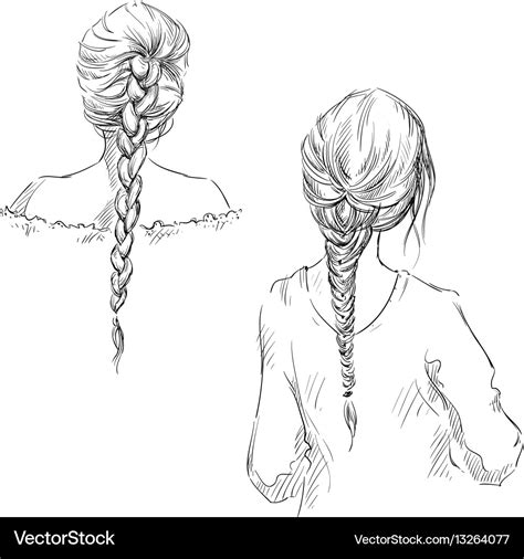 Braids hairstyle drawing Royalty Free Vector Image