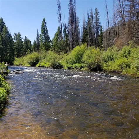 Boulder Creek Camping | The Dyrt