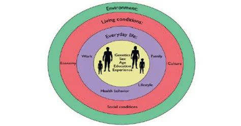 Sociocultural Evolutions – theories of sociobiology - Assignment Point