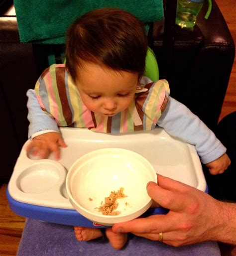 Introducing Indian Food to Babies | Big Apple Curry