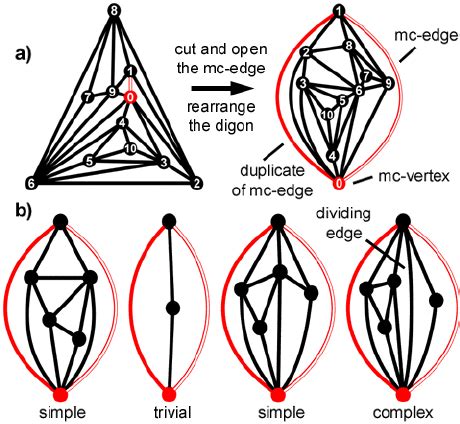 (a) Cutting and opening the mc-edge turns the mesh into a digon. (b)... | Download Scientific ...