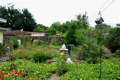 Jenny and Lou's Certified Wildlife Habitat using Florida native plants ...