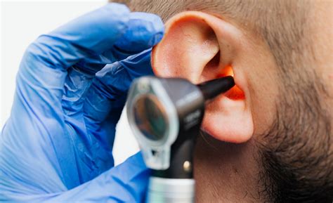 Research illuminates approaches for long-term hearing loss treatment