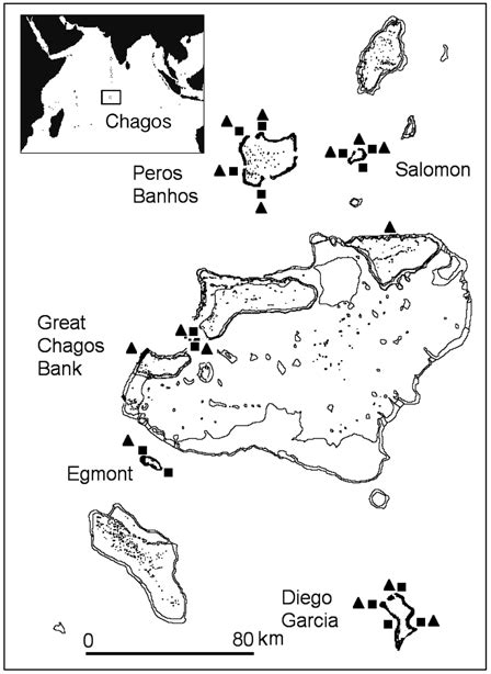 Location and map of the Chagos Archipelago. j: sites sampled for N and... | Download Scientific ...