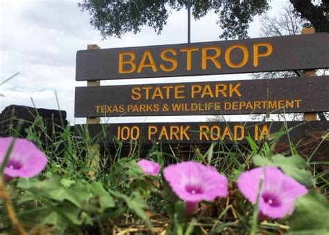 Bastrop State Park - Texas Hill Country