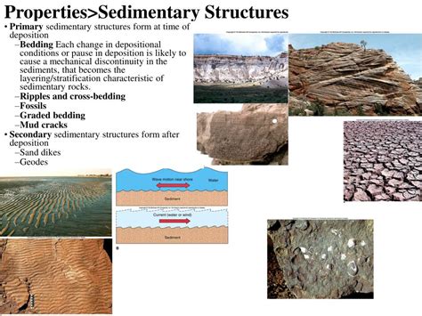 PPT - Sedimentary Rocks PowerPoint Presentation, free download - ID:3500953