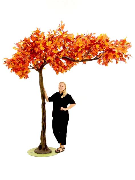 Canopy Tree (3m) - Autumn Oak | Event Prop Hire