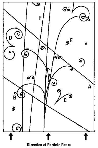 NOVA | Teachers | Elegant Universe, The | Student Handout: Tracking Particle Paths | PBS