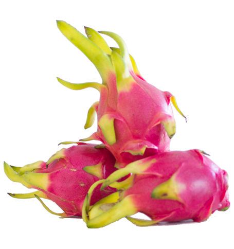 What is Pitaya | Learn About the Benefits of Pitaya Here - Pitaya Plus