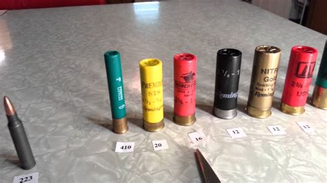 Bullet Case Size Comparison Shotgun Shell Ammo Shell Size | The Best ...