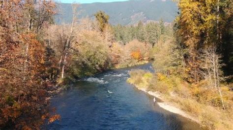 Sunrise Fall Leaves On Boise River Stock Photo 511431256 | Shutterstock