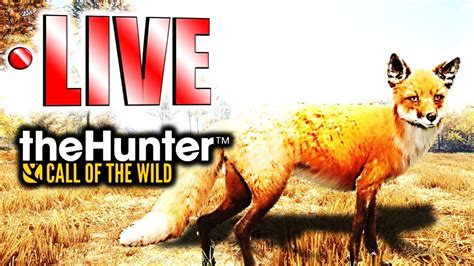 Hunting Red Fox! (And Probably Other Stuff) | LIVE - YouTube