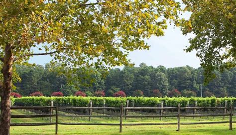 The Williamsburg Winery - 🍇 Wineries & Vineyards for Sale