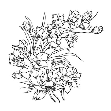 Free Flower Sketch, Download Free Flower Sketch png images, Free ClipArts on Clipart Library