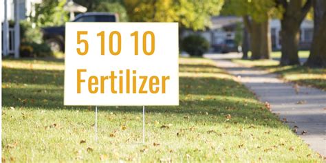 5 10 10 Fertilizer [What it is, What is in it, What it's Used For]