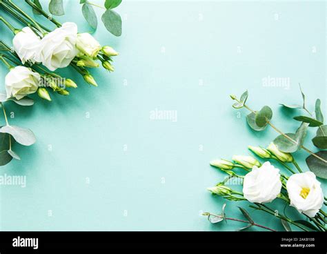 White eustoma and eucalyptus on a light green background. Wedding invitation in minimalist style ...