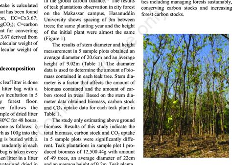 Teak Plantations in Makassar Campus of Hasanuddin University. | Download Scientific Diagram