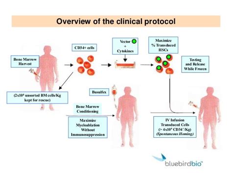 Thalassemia and Stem cell transplant