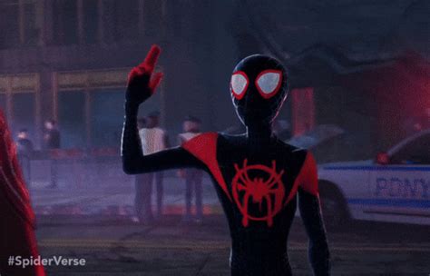 Spider Man Into Spider Verse Gif