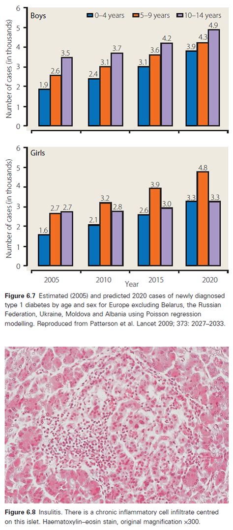 Handbook of Diabetes, 4th Edition, Excerpt #5: Epidemiology and ...