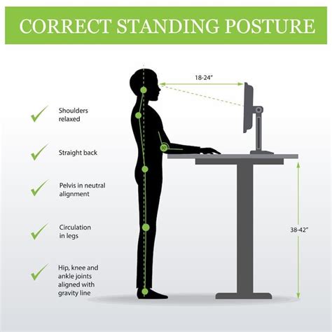 Our Guide to Using a Sit-Stand Desk Ergonomically - CMD Ltd