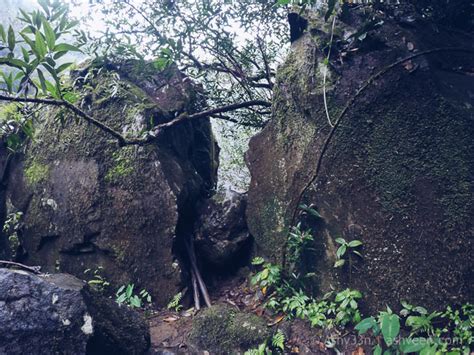 Hiking Chamarel Falls - The River Bank - Ashveen