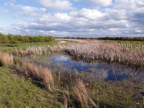 Steart Marshes in Somerset stock photo. Image of steart - 117208530