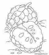 Tropical Fruit Coloring Pages Coloring Pages sketch template