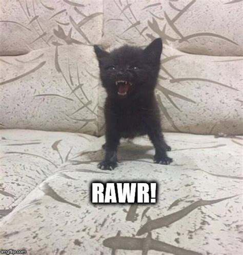 Rawr! - Imgflip