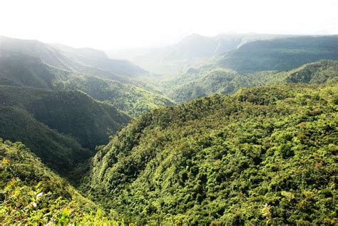 Hiking in Mauritius: The best trails, where to visit, and more ...