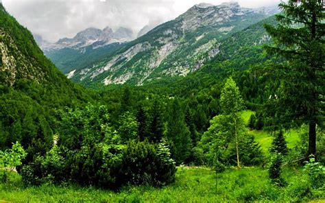 Montañas verdes, verde, crud, minunat, munte, Fondo de pantalla HD | Peakpx