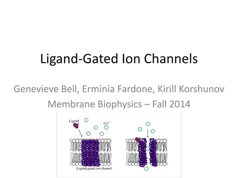 PPT - Ligand-Gated Ion Channels PowerPoint Presentation, free download - ID:5947001