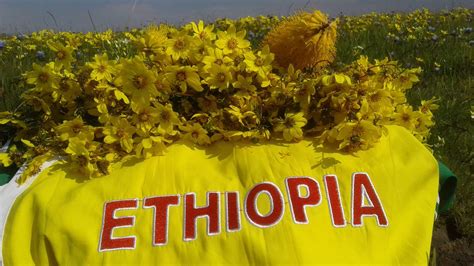 Ethiopian New Year Enkutatash: History, Traditions, and Celebrations - Aemero Media