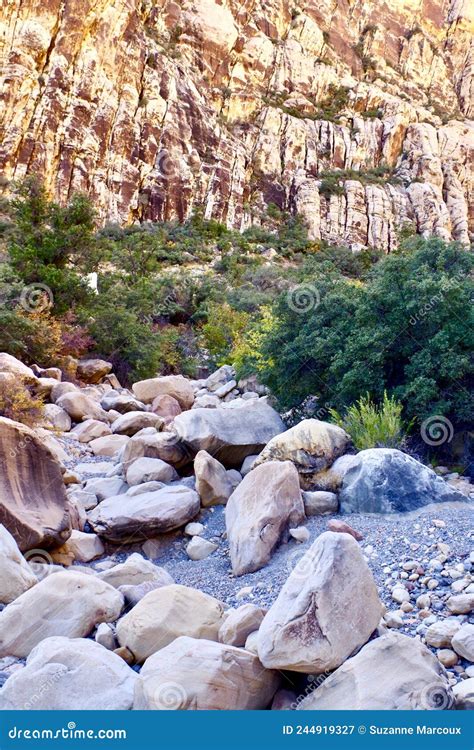 Spring Mountain National Recreation Area, Nevada, USA Stock Image ...