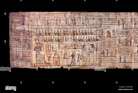 Ancient Egyptian Book of the Dead papyrus - Ptolemaic Period (722-30BC ...