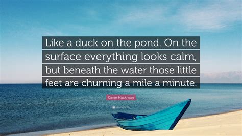 Gene Hackman Quote: “Like a duck on the pond. On the surface everything looks calm, but beneath ...