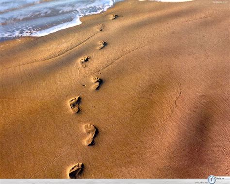 Footprints in the Sand