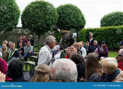 Falconry Show at Dunrobin Castle, Scotland Editorial Photo - Image of ...