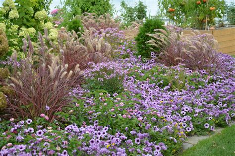 10 Companions for Ornamental Grasses in the Landscape | Proven Winners