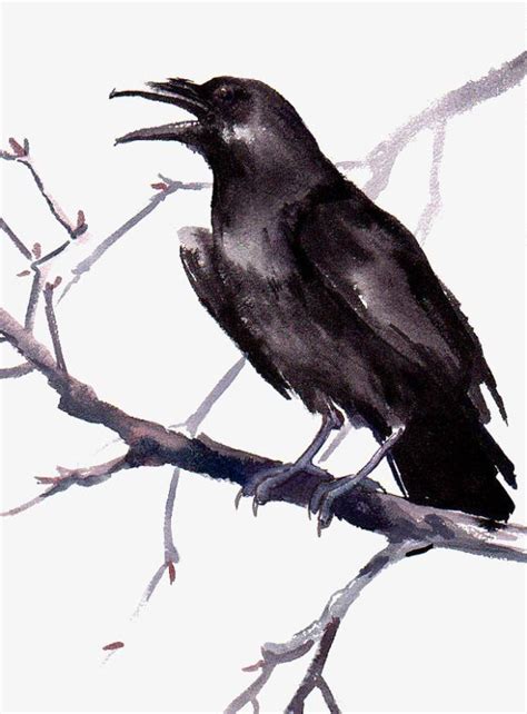 Hand Painted Crow | Crow painting, Crow art, Watercolor paintings