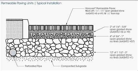 Salukitecture: A Greener View on Landscaping